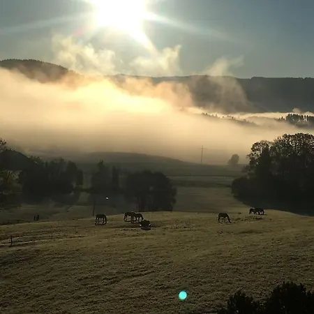 Appartement Panoramablick Stiefenhofen
